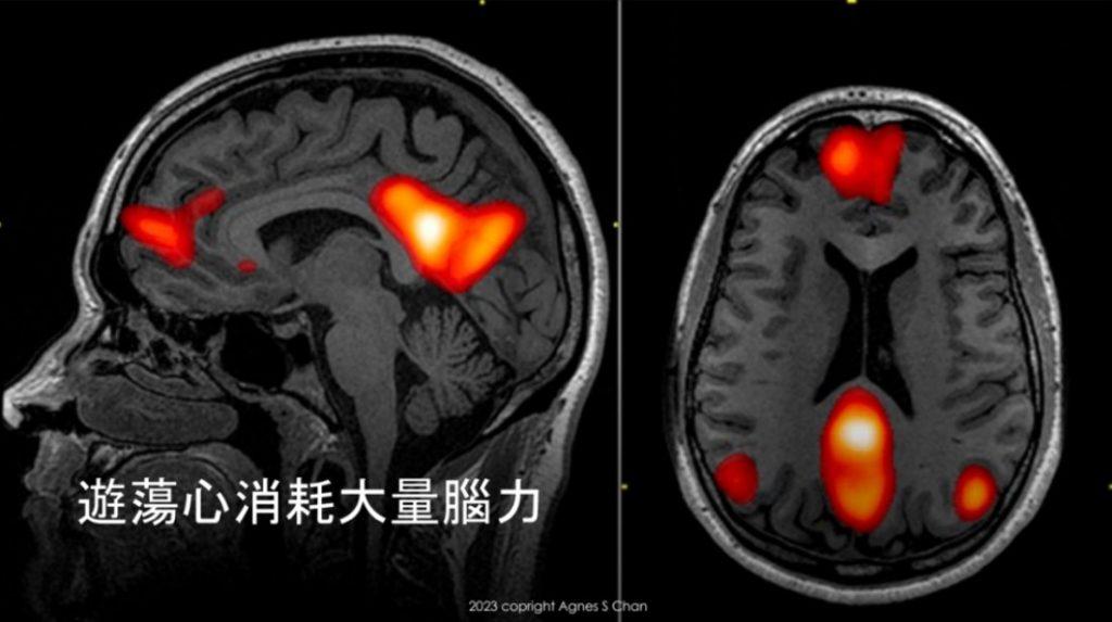 圖：陳瑞燕